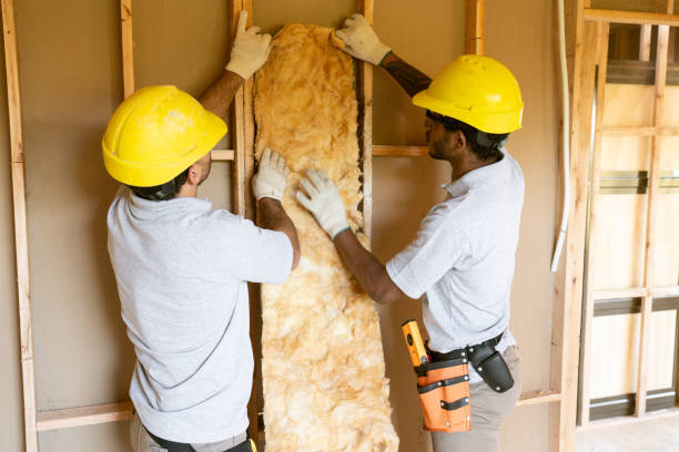 Best Insulation Contractor Near Me  in Saukville, WI
