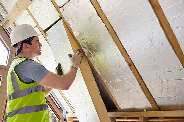 Best Cellulose Insulation  in Saukville, WI