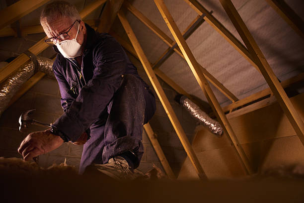 Best Insulation Repair Services  in Saukville, WI